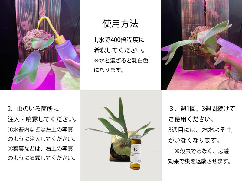 Barrier Green Oil Ⅲ
