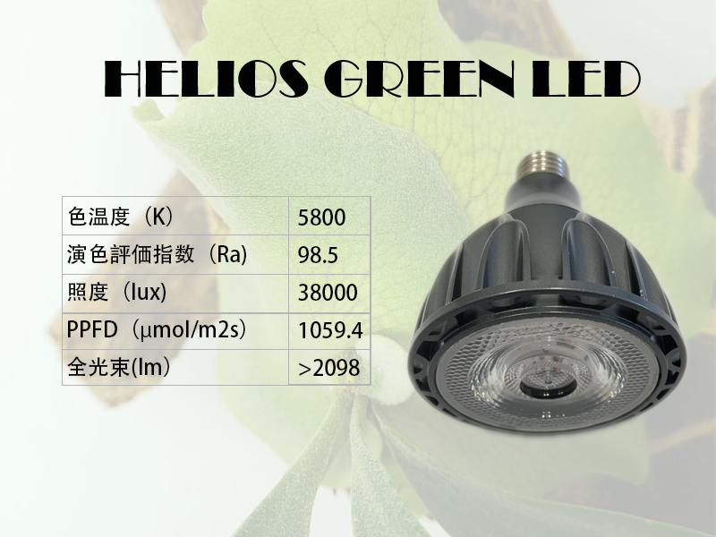 Helios Green LED HS24 detail